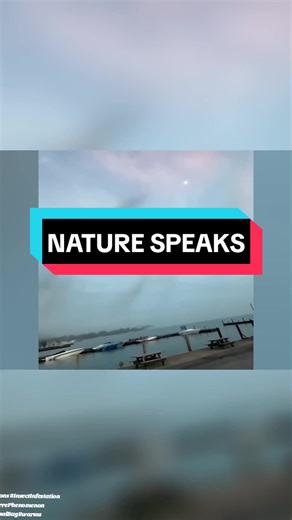 Unprecedented Bug Invasions: Millions of Insects Take Over Cities Worldwide Witness the shocking mass influx of bugs in various cities across the globe. From Florida to Nevada to Chicago, millions of insects have swarmed homes, blanketed roads, and left residents spellbound. Discover the bizarre phenomenon and the impact it has on local communities. #BugInvasions #InsectInfestation #BizarrePhenomenon #GlobalBugSwarms #UnexplainedInsectInflux #InsectPlague #CityUnderAttack #BugInvasionNews #Stran