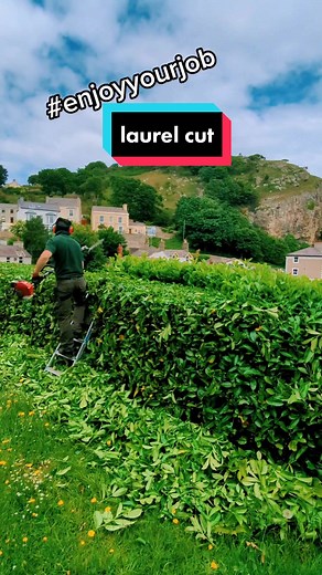 Expert Laurel Hedge Cutting Tips for Beautiful Garden Views