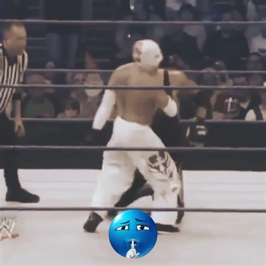 Rey Mysterio vs Undertaker Smakdowen 2010