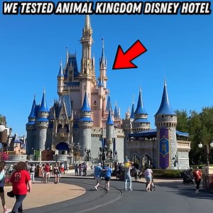 We Tested Animal Disney Hotel! 🤩👀 | Ryan Trahan