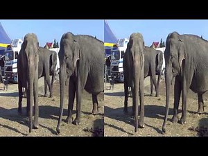 3d full hd 1080p video side by side SONY