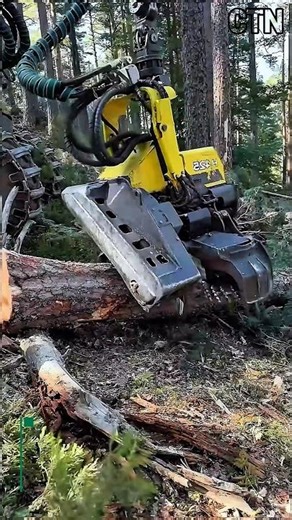 High-Tech Tree Harvester Head | Fast Cutting & Debarking Machine
