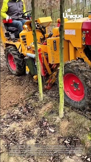 Digging up trees: machine transplanting trees