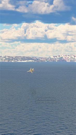 Incredible F-14 crashes after take off from Aircraft Carrier #videogame #usa #nato #greenland #f14 | IronGaming