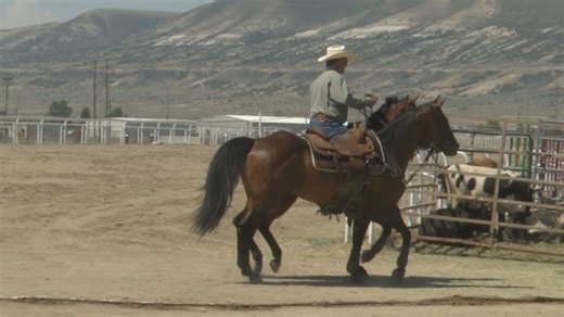 Lehi Round-Up Rodeo tickets sell out within hours due to resellers, city's rapid growth