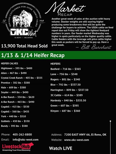 13,900 head sold and stocker prices still climbing. Tight supplies and strong buyer demand setting the tone. #CattleMarket #FeederCattle #AgTikTok #LivestockAuction #RanchLife #PriceDiscovery #LivestockHub