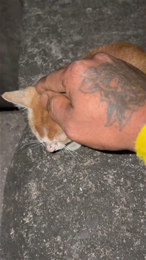 Isqu Me Hum Thmhe #shorts