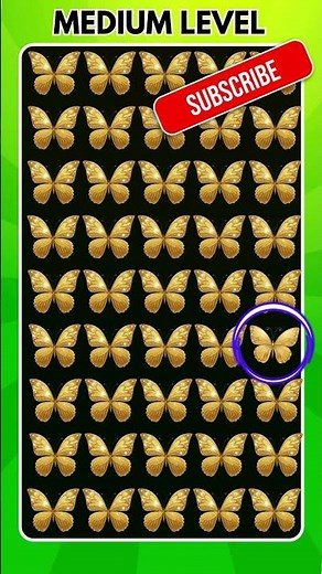 Can You Spot the Odd Butterfly? 🦋🔍 | Fun Brain Quiz #quiz #butterfly #shorts