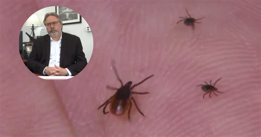 VCU doctor warns about ‘extreme’ tick season in Virginia