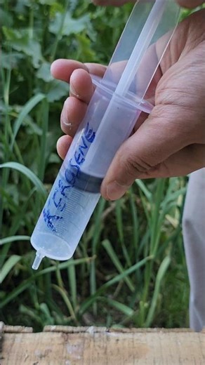 DIY Water Filter Using a Syringe, Cotton & Charcoal | Muddy Water to Clear Water 💧🌿 #shorts