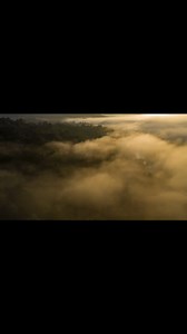 🚨This needs your attention: Tropical forests are at risk! From the Amazon to Asia, forests are threatened by deforestation and degradation, threatening communities and our climate. You can join the call to protect these forests and all those who rely on them – share this post to raise awareness! #ThreeBasinsSummit | WWF