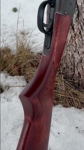 Test Firing 20 Gauge Stevens Model 94 #shorts