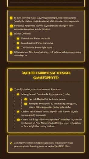 Megasporogenesis and Embryo Sac Development
