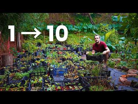 Stop buying plants, grow your own like this