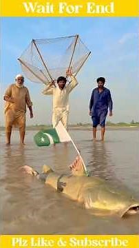 পাকিস্তানের কত বড় মাছ