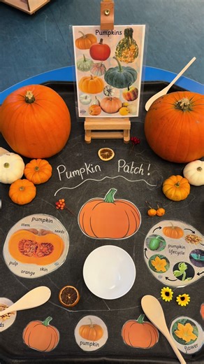 Exploring Pumpkin Life Cycle in Early Years Education
