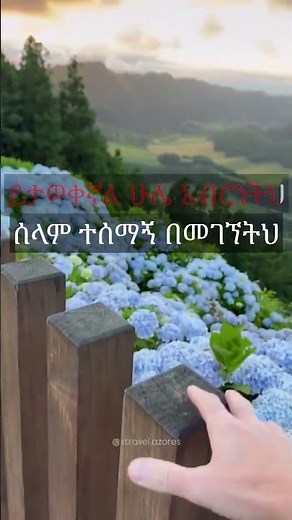 Tekeste Getnet Ategebe Neh | ተከስተ ጌትነት አጠገቤ ነህ #mezmur #cover #newethiopianmezmur #protestantsong