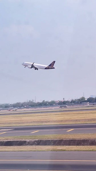 Ahmedabad plean cresh 😭😭😭 #aviation #viral #airport #travel
