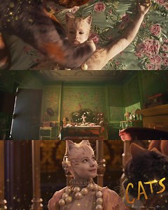 24K views · 193 reactions | Ella es Victoria, la más joven de los gatos. Conoce su historia en #CatsLaPelícula, este 25 de diciembre solo en cines. | Cats La Pelicula | Facebook