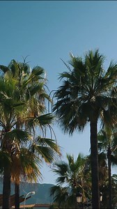 MINI VLOG / A day in the life of a fitness influencer - A little bit of food, a little bit of training a little bit of beach club. | Mike Thurston