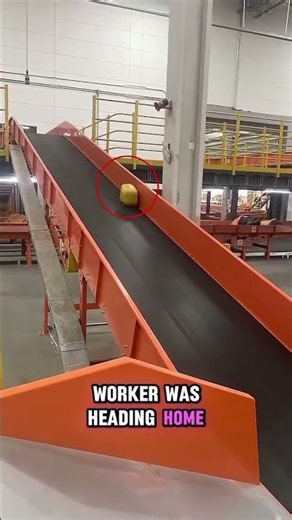 Why Your Parcel Might Be Delayed 📦😲