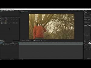 14. Change Project Settings from Project Panel | After Effects for Beginners Course