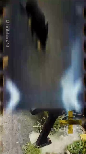 🐾 Unlock Your Dog’s Full Potential – Just Like Ted! Meet Ted — a young dog in training to become a sheepdog. Through my Advanced Residential Training Programme, he’s learned focus, obedience, and precision — the kind of results most owners dream of. At SH Dog Training, my advanced training is designed for those who want more than just basic obedience. Over several weeks, your dog will live and train with me in my home, learning advanced skills like beautiful heelwork, flawless recalls, steady d