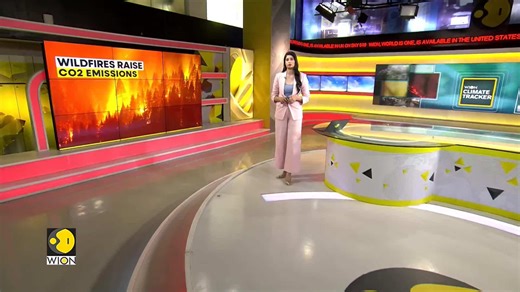 Wildfires raised 8.6 billion tonnes of CO2 emissions in 2023: Study