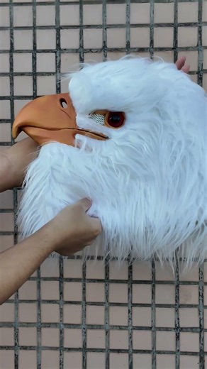 Costume Inspiration: The Fun Experience of Transforming into an Eagle [PATYGR]