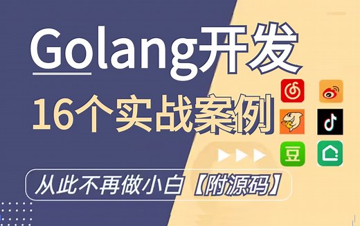 【golang】16个Go语言项目实战案例 学会这些从此不再做小白-毕业设计 入职简历 手把手带你完成16个项目（附源码）