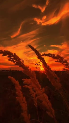 🥰Zaheer Property Network🥰 (@zaheer._abbas)’s videos with original sound - Dr Israr Ahmad