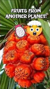 5 Weird Fruits That Look Totally Alien!
