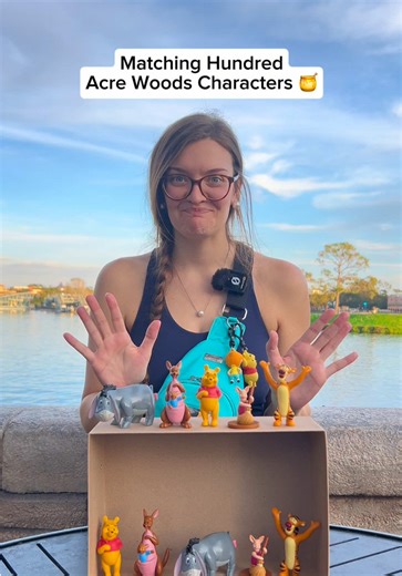 Winnie the Pooh Character Match Game at Disney Parks