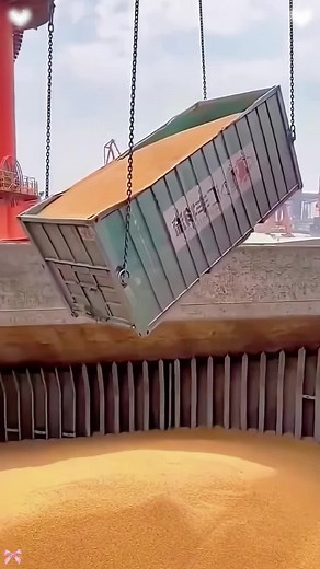 Why Ships Fear Grain Cargo: Risks and Prevention