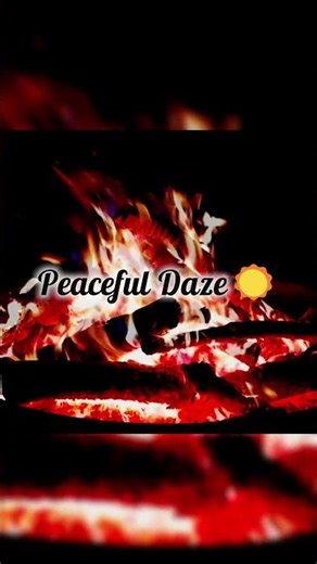 Soft Night Fire and Calm Ambience for Deep Rest | Peaceful Daze☀️