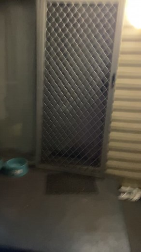 Live Melbourne Earthquake Footage in Penrith, Australia