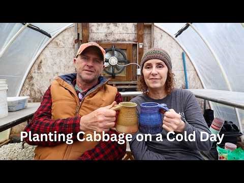 Too Cold for Popsicles but Our Cabbage is Planted 😀