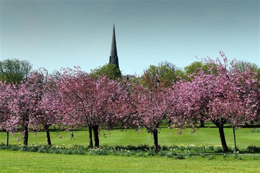 Revealed: How Harrogate fared in The Sunday Times Best Places to Live guide