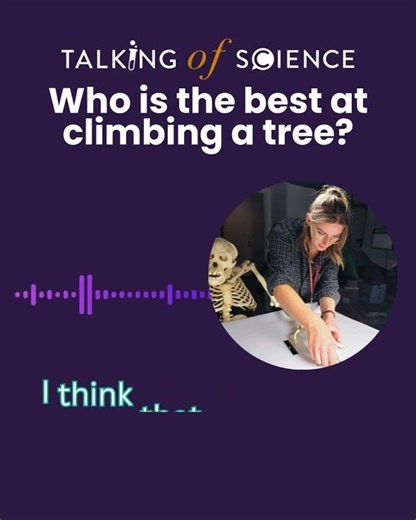 Who is the best at climbing a tree? A Talking of Science podcast clip