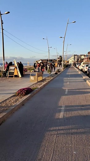 Videos de Ernesto Daniel Casti (@ernestodanielc) con “sonido original - Ernesto Daniel Casti”