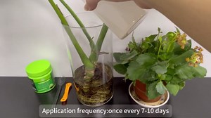 Mycorrhizal Fungi for Soil, 17.6 Oz Rooting Hormone for Cuttings, Root Enhancer for Plant Growth, Organic Root Stimulator for Plants, Nutrient Fertilizer from Vegetable Flower Tree Garden