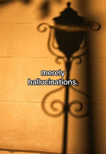 Understanding Consciousness: Hallucinations and Reality