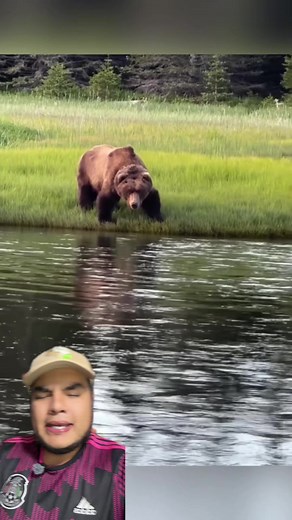 Si un oso te ve así , podría ser lo último que veas #aprendeentiktok #osos