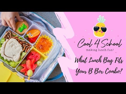 What Lunch Bags Fit BBox Lunch Boxes 2023