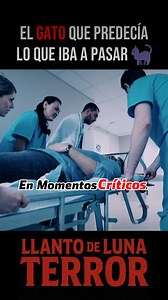 Este GATO SABE cuándo VAS a MORIR… y NUNCA FALLA 😱🐈‍⬛ #terror #shorts #gatodelamuerte #gatooscar #misteriosreales #historiasdeterror #paranormal #casosreales #cuentosdeterror #terrorreal #miedoverdadero #shortsdeteror #gato #hospital #predicelamuerte | Almas Perdidas