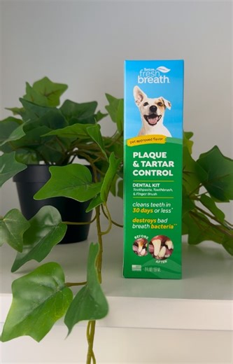 Unboxing the essentials for your pet's oral care journey! 🤩📦 Take a look inside of our TropiClean Fresh Breath Plaque & Tartar Control Dental Kit 🦷🪥 Do you like what you see? Get yours now: https://tropiclean.com/products/fresh-breath-peanut-butter-oral-care-kit-2oz #Unboxing #DogHealth #OralCare #TropiClean #FreshBreath #DentalForDogs #PetCare | TropiClean Pet Products
