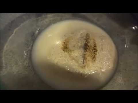 Activating Dry Yeast Made easy and simple