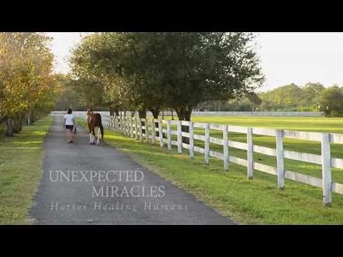Unexpected Miracles - Horses Healing Humans