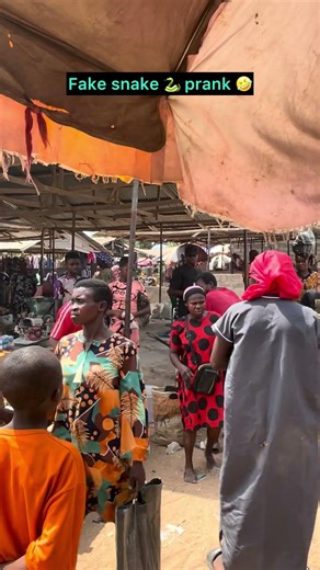 Fake snake 🐍 prank