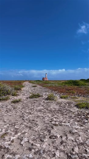 Mermaid Klein Curaçao Boat Trips on Instagram: "The pink lighthouse of Klein Curaçao is a must-see!📸 Have you seen it yet?👇 #mermaidboattripscuracao #kleincuracao #curacao #curacaoboattrips #curacaoexcursions #rightnowincuracao #visitcuracao #islandvibes #tropicalparadise #bluecuracao #pinklighthouse #abandonedlighthouse"